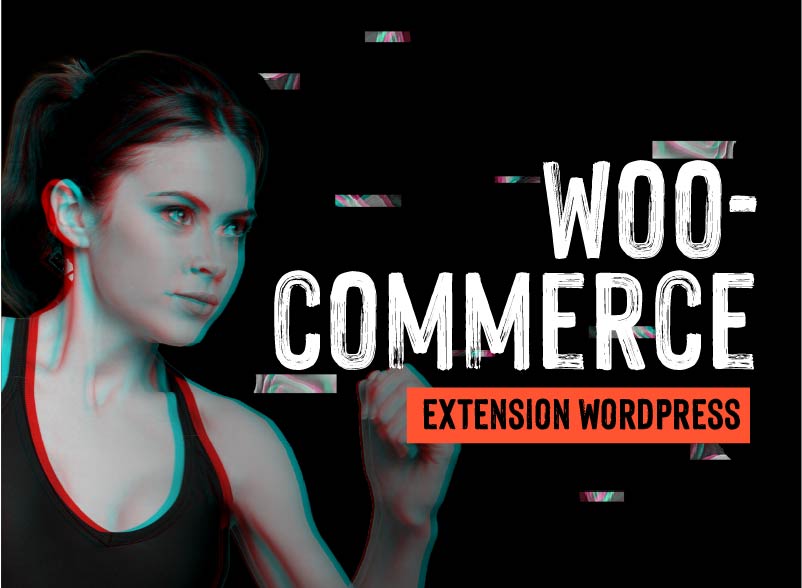 Formation Woo commerce WordPress - Nova Learning by NovaSancO