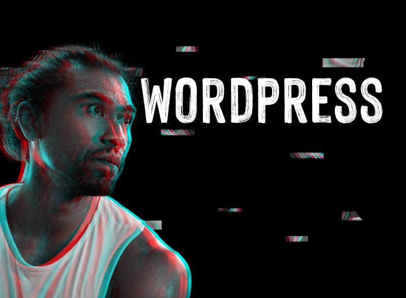 Formation Wordpress NovaLearning