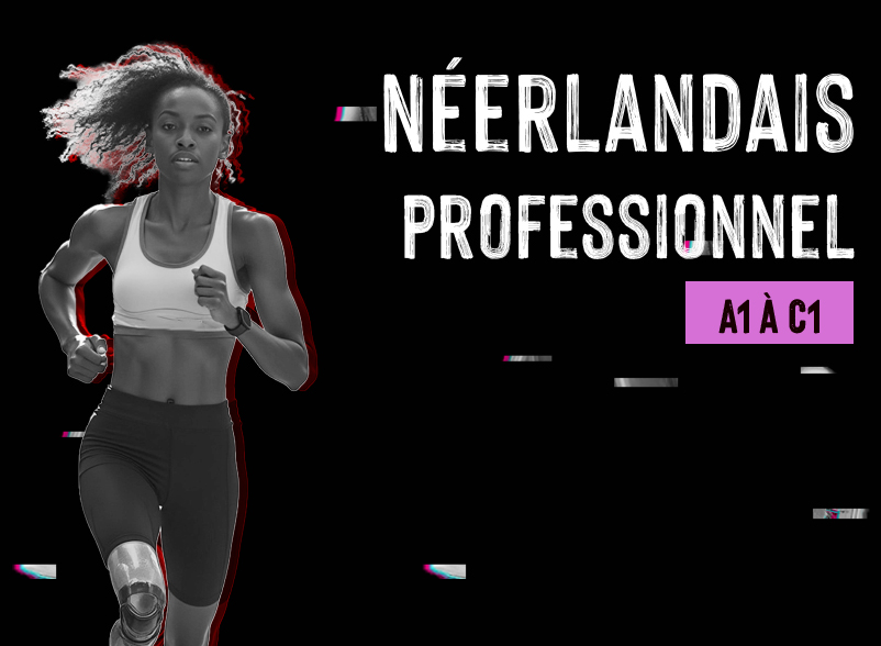 Néerlandais professionnel à distance